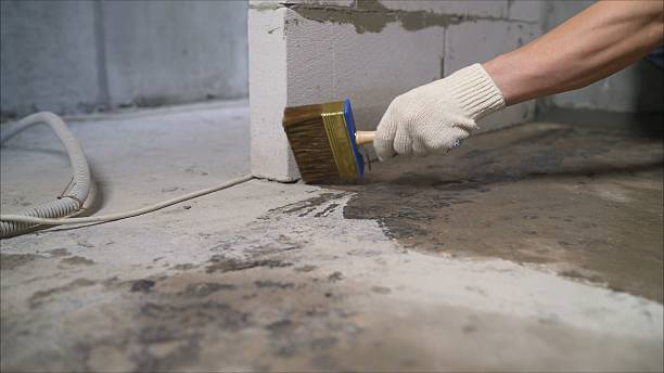 24/7 Emergency Wet Basement Repair experts in Alpharetta, GA